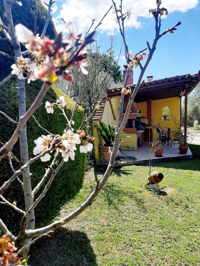Ferienhaus in Zacharo , 27054 , Ilias Exterior foto